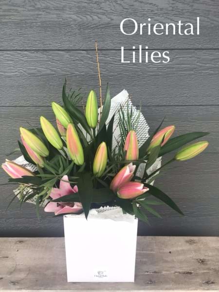 Oriental Lily Bouquet