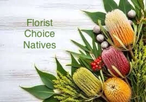 Florist Choice Native Arrangement